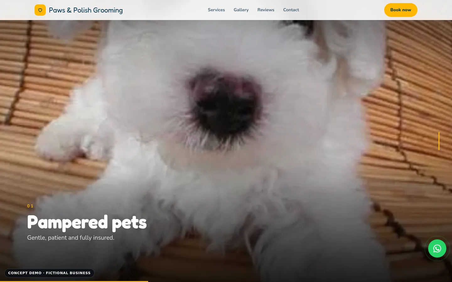 Paws & Polish Grooming demo, desktop view, video showcase section