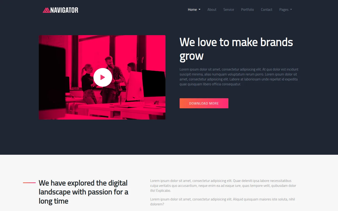 Screenshot of Navigator theme