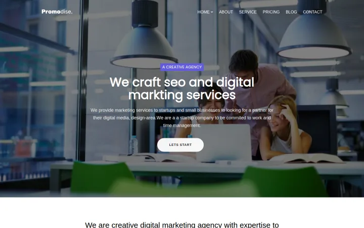 Promodise — classic business website themes